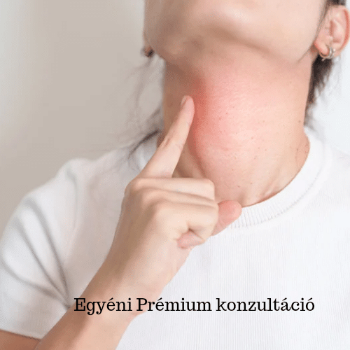 Egyéni Prémium konzultáció